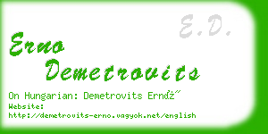 erno demetrovits business card